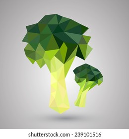 Broccoli geometric