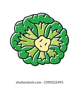 broccoli green color icon vector. broccoli green sign. isolated symbol illustration