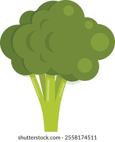 Broccoli, green broccoli icon isolated on white background. Vector, cartoon illustration. Vector.