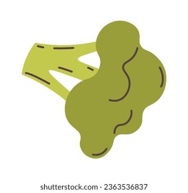 Broccoli Green Plant Vector Illustration