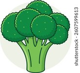 Broccoli Green Vector Illustration | Clipart | Healthy Food Icon Design
