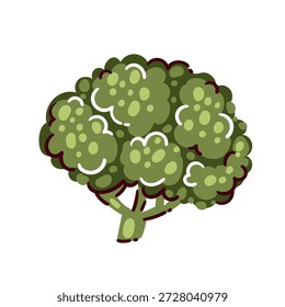 Brócoli vegetal verde con flores densas y tallo, brócoli fresco para una dieta saludable y nutrición equilibrada, ingrediente alimentario de origen vegetal, verduras verdes, Ilustración vectorial de dibujos animados