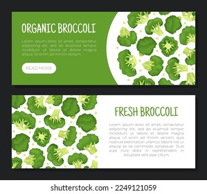 Broccoli Green Vegetable Design with Cabbage Head Vector Template