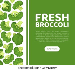 Broccoli Green Vegetable Design with Cabbage Head Vector Template