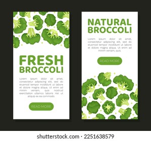 Broccoli Green Vegetable Design with Cabbage Head Vector Template