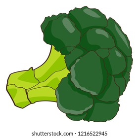 Broccoli, green, white background