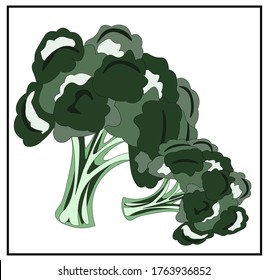 Broccoli. Greenery. Cabbage. Cauliflower. Isolated images of vegetables on a white background from a set about proper nutrition, veganism and vegetarianism. You can move and rotate each element.