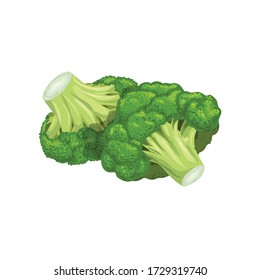 Broccoli group in cartoon style. Fresh farm vegetable. Eco and healthy product. Vector illustration isolated on white background.