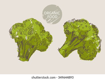 broccoli hand draw sketch, vector