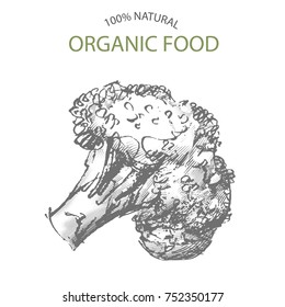 broccoli hand draw, vector