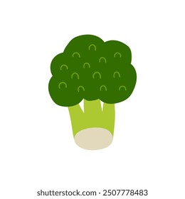 Broccoli hand drawn flat vector illustration. Fresh vegetable print for kitchen, menu, food package design. Healthy cute organic product.