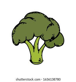 
Broccoli hand drawn illustration vector sign and symbol