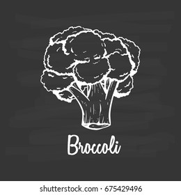 broccoli hand drawn sketch style healthy vegetable food on chalkboard background