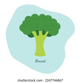 Broccoli is a healthy vegetable depicted on a blue background.
