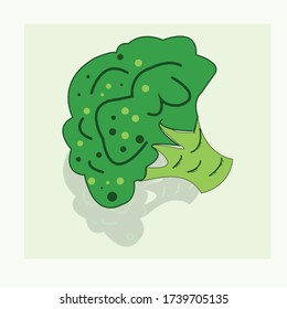 broccoli icon. Beautiful illustration of broccoli vector, healthy food illustration