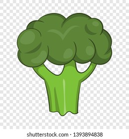 Broccoli icon. Cartoon illustration of broccoli vector icon for web design