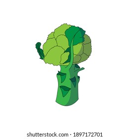 Broccoli icon in cartoon style