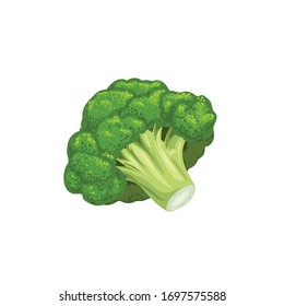 Broccoli icon in cartoon style. Fresh farm vegetable. Eco and healthy product. Vector illustration isolated on white background.