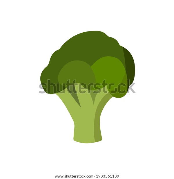 broccoli vector