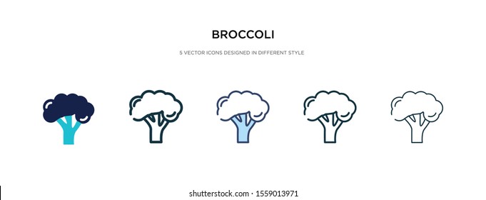 broccoli icon in different style vector illustration. two colored and black broccoli vector icons designed in filled, outline, line and stroke style can be used for web, mobile, ui