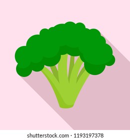 Broccoli icon. Flat illustration of broccoli vector icon for web design
