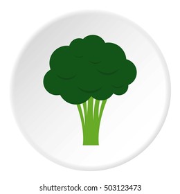 Broccoli icon. Flat illustration of broccoli vector icon for web