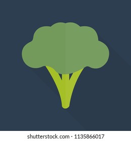 broccoli icon in flat style with long shadow, isolated vector illustration on blue transparent background