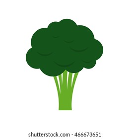 Broccoli icon in flat style on a white background