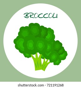 Broccoli icon in flat style. Vector illustration. Broccoli icon in flat style. Isolated object, logo. Vegetable from the farm. Organic food. Vector illustration.