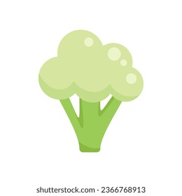 Broccoli icon flat vector. Vegetable cabbage. Vegetable food isolated