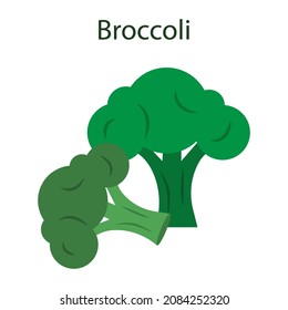 Broccoli icon. Green organic food. Cartoon style. Eco background. Vegetarian element. Vector illustration. Stock image.