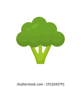 Broccoli icon. Healthy food. Vector illustration isolated on white.