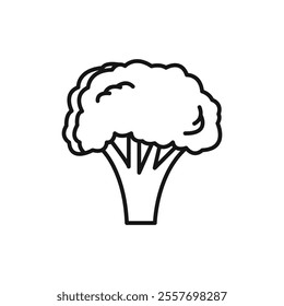 Broccoli icon Isolated flat vector in outline