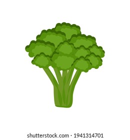 Broccoli icon isolated on white background. Vector illustration