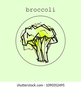 Broccoli icon or logo in flat style. Vegetable from the garden. Organic food. Vector illustration Broccoli.