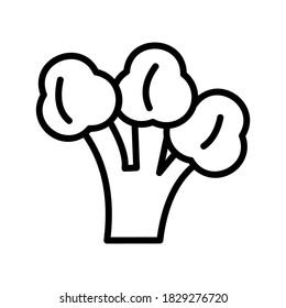 Broccoli icon or logo isolated sign symbol vector illustration - high quality black style vector icons

