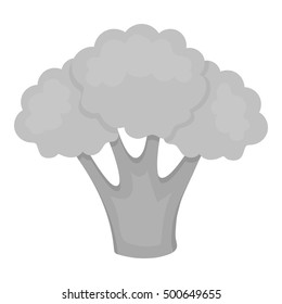 Broccoli icon monochrome. Singe vegetables icon from the eco food monochrome.