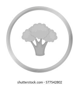 Broccoli icon monochrome. Singe vegetables icon from the eco food monochrome.