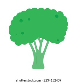 broccoli icon on white background