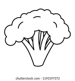 Broccoli icon. Outline broccoli vector icon for web design isolated on white background