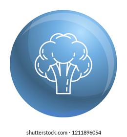 Broccoli icon. Outline broccoli vector icon for web design isolated on white background
