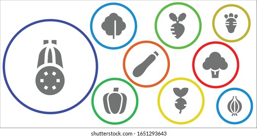 conjunto de iconos de brócoli. 9 iconos rellenos de brócoli.  Iconos modernos sencillos, como: Courgette, Lettuce, Turnip, Paprika, Broccoli, Radish, Onion
