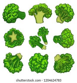 Broccoli icon set. Cartoon set of broccoli vector icons for web design