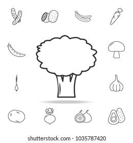 broccoli icon. Set of fruits and vegetables icon. Premium quality graphic design. Signs, outline symbols collection, simple thin line icon for websites, web design, mobile app on white background