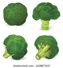 Broccoli icon set. Realistic set of broccoli vector icons for web design isolated on white background