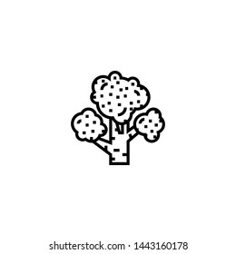 broccoli icon sign signifier vector