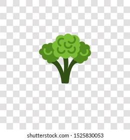 broccoli icon sign and symbol. broccoli color icon for website design and mobile app development. Simple Element from gastronomy set collection for mobile concept and web apps icon.