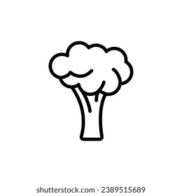 Icono de brócoli. Estilo de contorno simple. Verduras, plantas, sanas, naturales, orgánicas, dietéticas, frescas, concepto de alimentos. Símbolo de línea delgada. Ilustración vectorial aislada en fondo blanco.