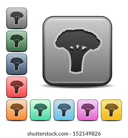 Broccoli Icon Square Vector Icon with Color Variations