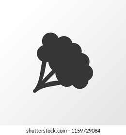 Broccoli icon symbol. Premium quality isolated tree element in trendy style.